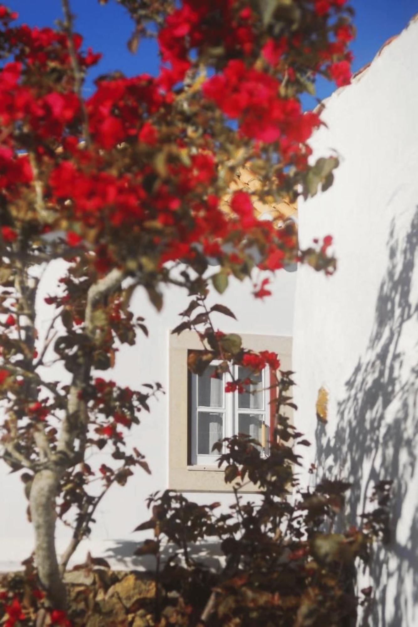 Casas Da Tia Alice - Casas De Campo Encantadoras Em Mafra Extérieur photo