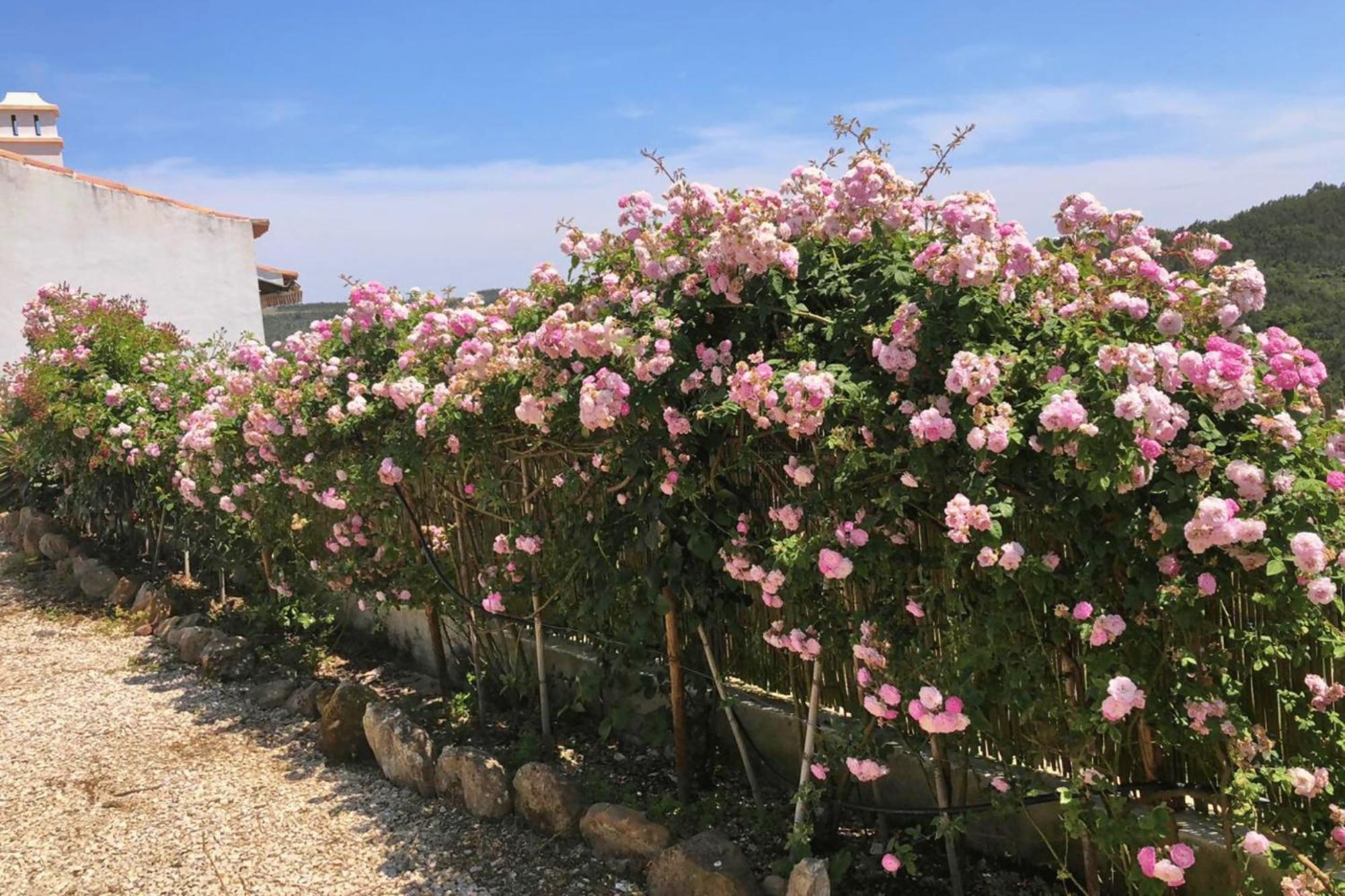 Casas Da Tia Alice - Casas De Campo Encantadoras Em Mafra Extérieur photo
