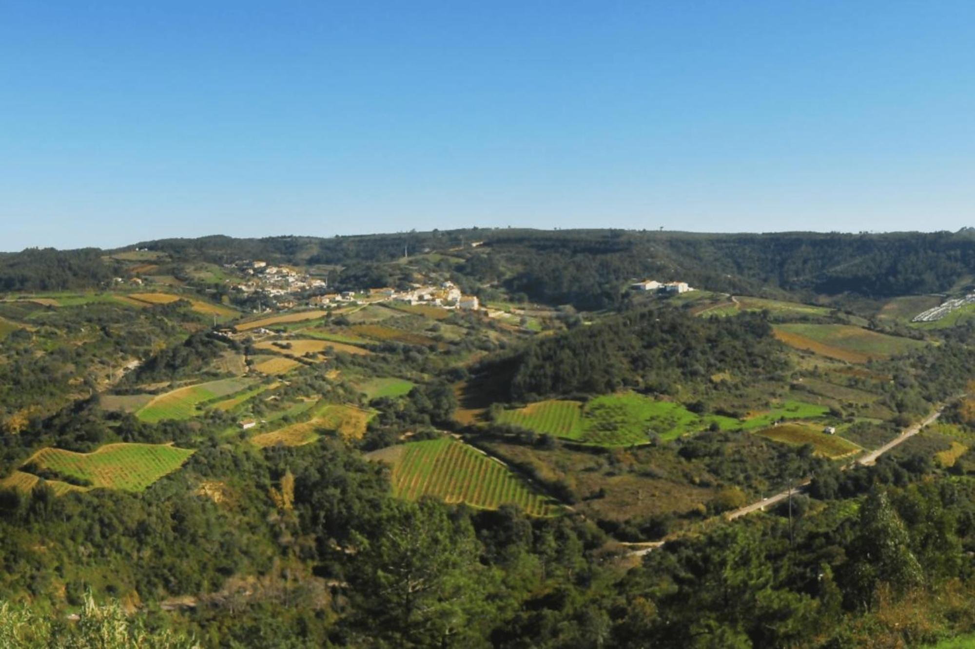 Casas Da Tia Alice - Casas De Campo Encantadoras Em Mafra Extérieur photo